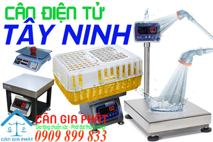 Cân điện tử Tây Ninh - sửa cân điện tử ở Tây Ninh