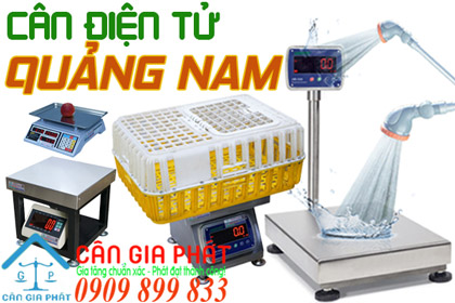 Cân điện tử Quảng Nam - sửa cân điện tử ở Quảng Nam