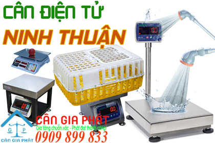 Cân điện tử Ninh Thuận - sửa cân điện tử ở Ninh Thuận