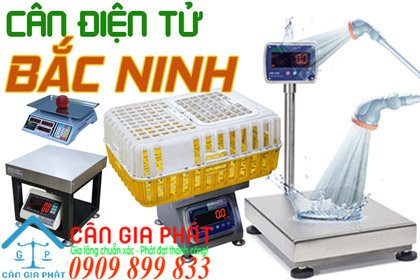 Cân điện tử Bắc Ninh - sửa cân điện tử ở Bắc Ninh