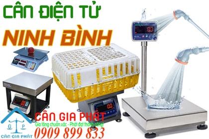 Cân điện tử Ninh Bình - mua bán & sửa cân điện tử ở Ninh Bình