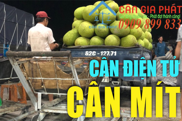 Cân điện tử cân mít, cân điện tử 150kg 300kg 500kg 1 tấn 2 tấn cân mít