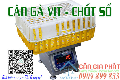 Cân Điện Tử Gia Phát - cân điện tử cân gà vịt 100kg 150kg 200kg 300kg