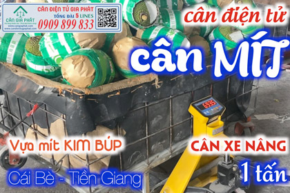 Cân điện tử 1 tấn cân mít Tiền Giang - cân xe nâng 1 tấn - MÍT KIM BÚP