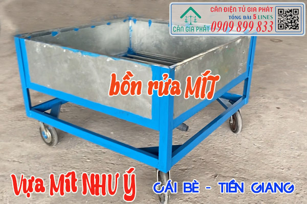 Bồn rửa mít ở Tiền Giang - Cân Điện Tư Gia Phát mua bán bồn rửa mít