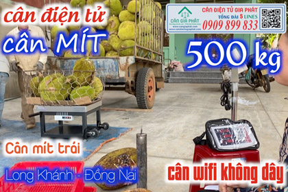 Cân điện tử 150kg 300kg 500kg wifi không dây - cân mít ở Đồng Nai