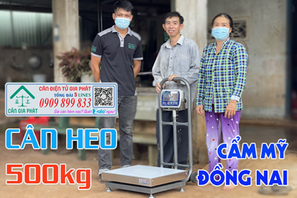 Cân điện tử cân heo 200kg 300kg 500kg - giao cân heo ở Cẩm Mỹ Đồng Nai