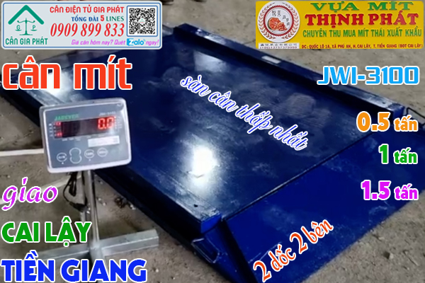 Cân điện tử cân mít JWI-3100 500kg 1 tấn 2 tấn ở Tiền Giang