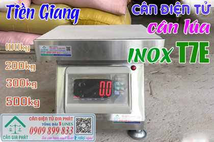 Cân điện tử cân lúa ở Tiền Giang, cân inox T7E 100kg 200kg 300kg 500kg