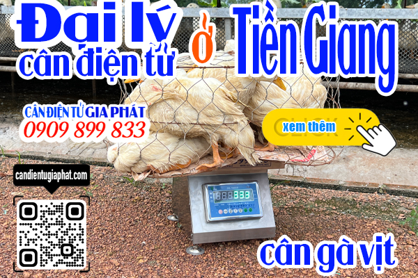 Đại lý cân điện tử Tiền Giang - cân điện tử cân gà vịt 100kg 200kg 300kg 500kg