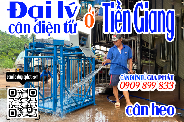 Đại lý cân điện tử Tiền Giang - cân điện tử cân heo cảm biến trên 500kg 1 tấn 2 tấn