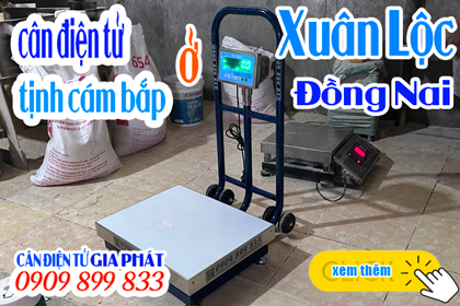Cân điện tử cân tịnh bao cám bắp ở Xuân Lộc Đồng Nai - 300kg & 500kg