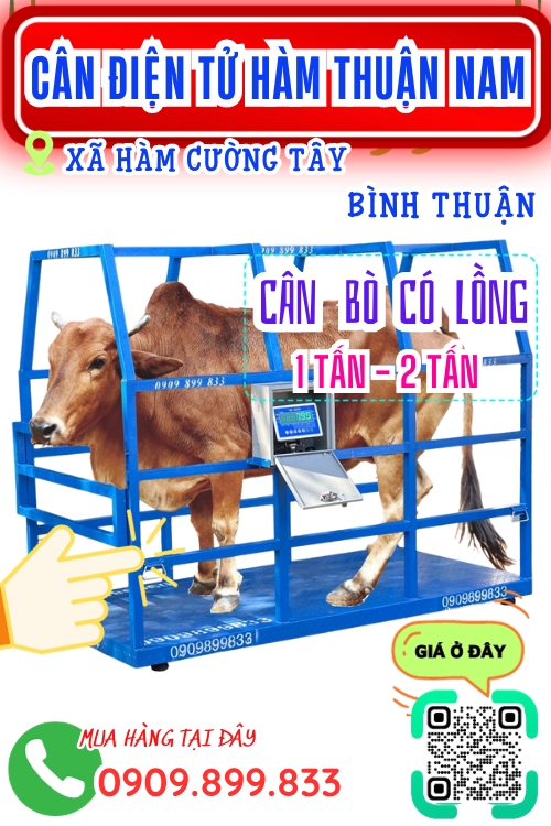 Cân điện tử ở Hàm Cường Tây Hàm Thuận Nam Bình Thuận - cân bò có lồng