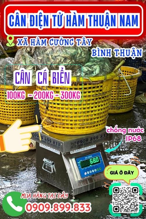 Cân điện tử ở Hàm Cường Tây Hàm Thuận Nam Bình Thuận - cân cá biển