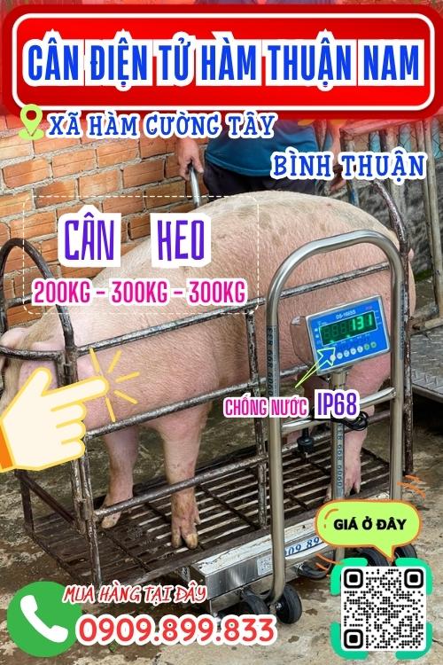 Cân điện tử ở Hàm Cường Tây Hàm Thuận Nam Bình Thuận - cân heo cảm biến trên