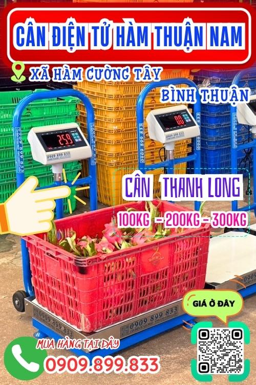 Cân điện tử ở Hàm Cường Tây Hàm Thuận Nam Bình Thuận - cân thanh long