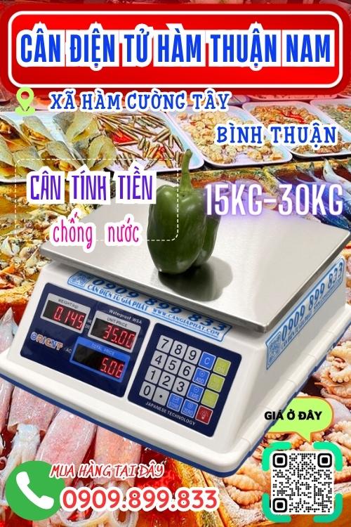 Cân điện tử ở Hàm Cường Tây Hàm Thuận Nam Bình Thuận - cân tính tiền chống nước