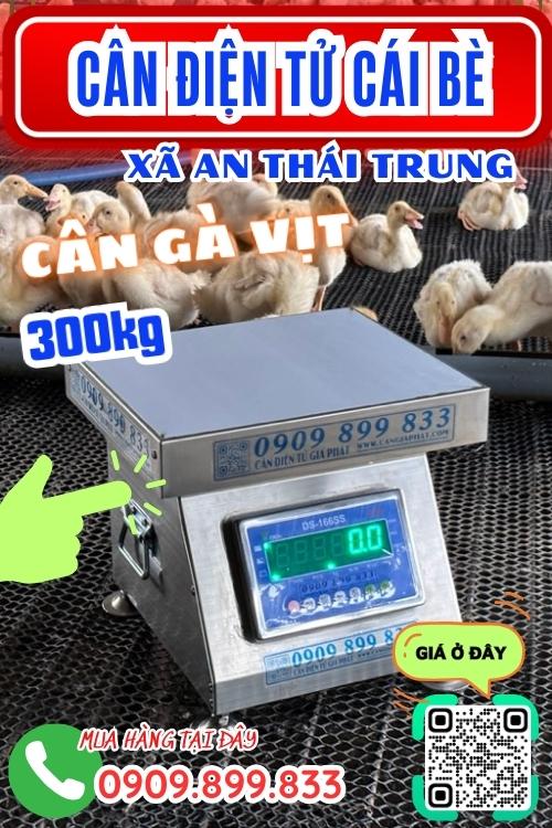 Cân điện tử An Thái Trung Cái Bè Tiền Giang - cân gà vịt
