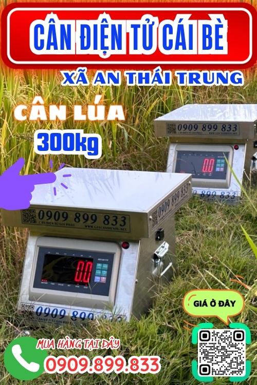 Cân điện tử ở An Thái Trung Cái Bè Tiền Giang - cân lúa