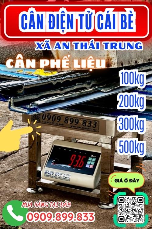Cân điện tử ở An Thái Trung Cái Bè Tiền Giang - cân phế liệu