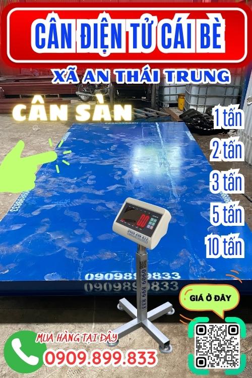 Cân điện tử An Thái Trung Cái Bè Tiền Giang - cân sàn