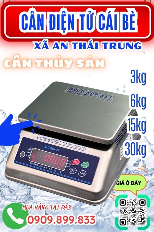 Cân điện tử ở An Thái Trung Cái Bè Tiền Giang - cân tính thủy sản