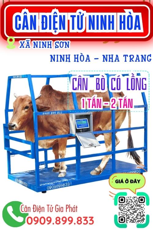 Cân điện tử ở Ninh Sơn Ninh Hòa Khánh Hòa - cân bò có lồng