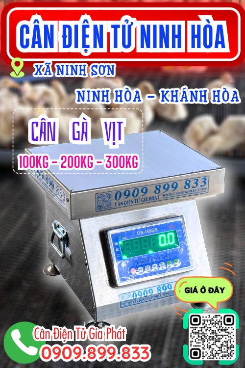 Cân điện tử ở Ninh Sơn Ninh Hòa Khánh Hòa - cân gà vịt