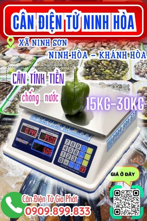 Cân điện tử ở Ninh Sơn Ninh Hòa Khánh Hòa - cân tính tiền 