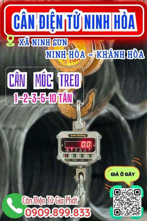 Cân điện tử ở Ninh Sơn Ninh Hòa Khánh Hòa - cân treo