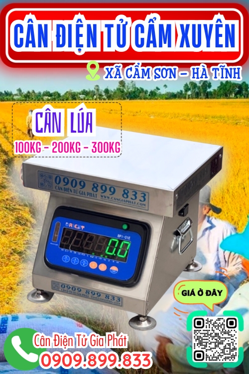 Cân điện tử ở Cẩm Sơn Cẩm Xuyên Hà Tĩnh - cân lúa
