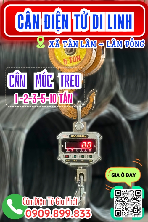 Cân điện tử ở Tân Lâm Di Linh Lâm Đồng - cân treo điện tử