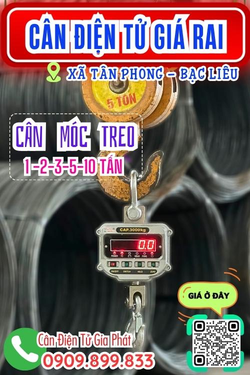 Cân điện tử ở Giá Rai Tân Phong Bạc Liêu - cân treo 1 tấn 2 tấn 3 tấn 5 tấn 10 tấn 