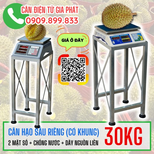 Cân sầu riêng 30kg 2 mặt số và có sẵn khung cao